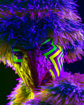 Close-up portrait of a performer wearing an intricate bird mask with vibrant fringed feathers.
