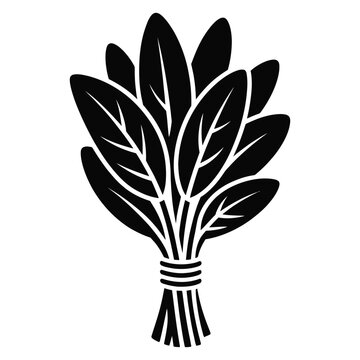 A bundle of sage leaves is depicted in a stark black silhouette