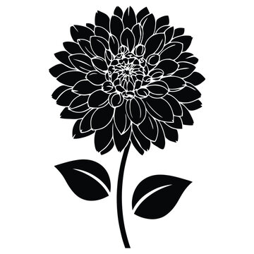 A detailed dahlia flower with leaves is presented as a black silhouette