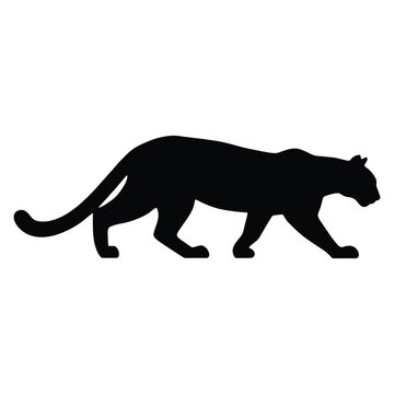 A black panther walking forward is depicted in a stark silhouette