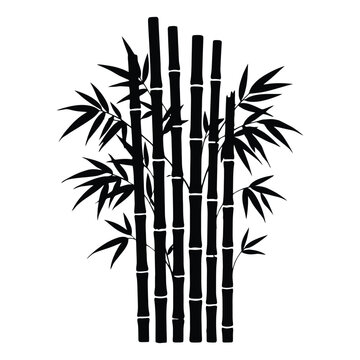 A detailed black silhouette of bamboo stalks and foliage stands out sharply
