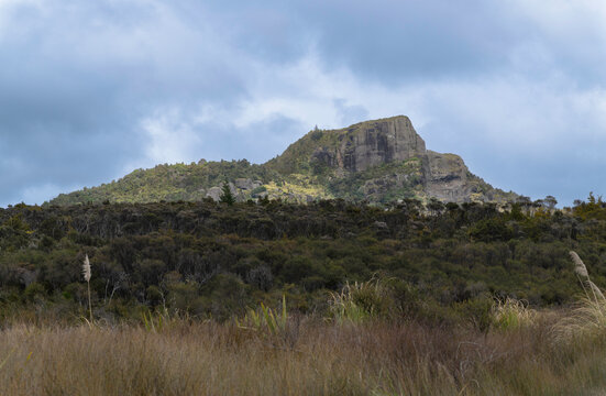 Taratara Mountain (Table Mountain), Northland, New Zealand