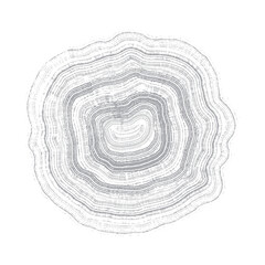 Fototapeta premium Cross Section of Tree Vector Stump Slice With Age Rings Isolated on White Background.. Grunge Wood Texture With Concentric Rings, Template. Grey Tree Ring Pattern, Wood grain. Stamp of Tree Trunk.