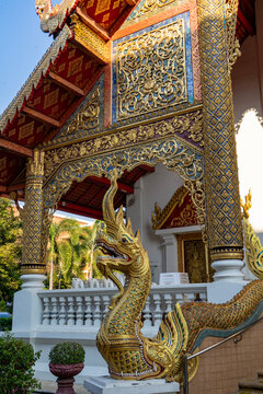 Naga Dragon in Chiang Mai Thailand