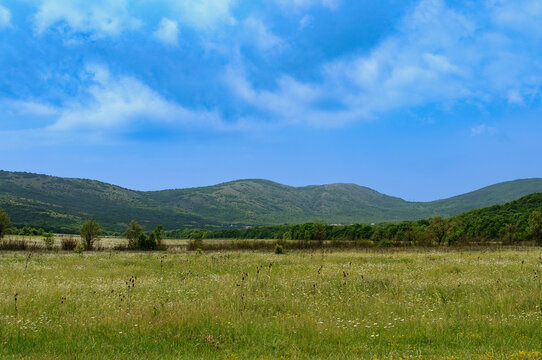 A picturesque summer landscape with a green field of flowers, hills, and a cloudy sky. Ukraine, Crimea