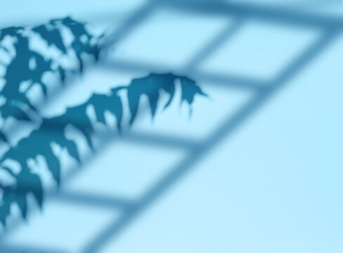 Scene for product demonstration and advertising with shadows from a window and a branch with leaves