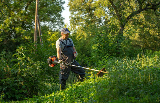 A worker stands on a slope using a brush cutter to clear tall grass. He is surrounded by trees and shrubs. It is a sunny day in a natural setting