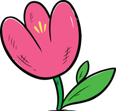 Cute pink tulip flower drawing with green leaves isolated on white background