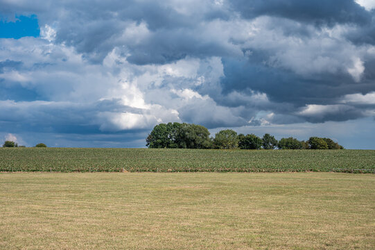 Grass and corn fields under rain clouds