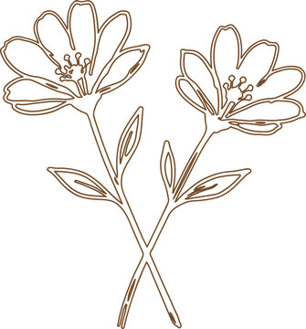 Simple line drawing of two blooming flowers with leaves isolated on white