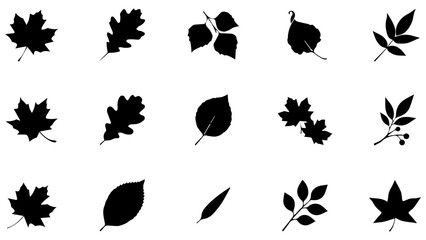 Obraz premium Set of black leaf silhouettes featuring various tree foliage shapes and nature plant icons