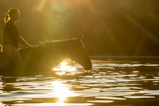 Reiterin badet mit Pferd im Gegenlicht