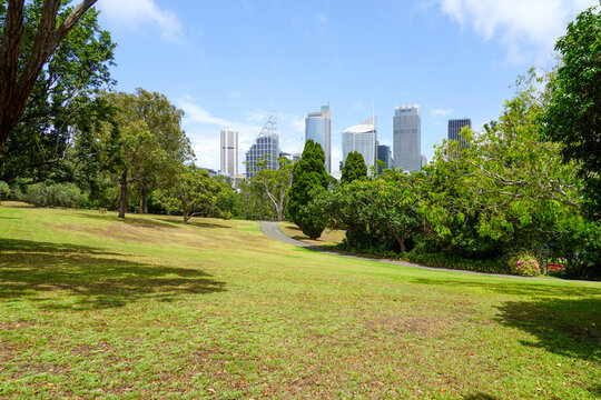 Sydney cityscape view from Royal Botanic Garden lawn