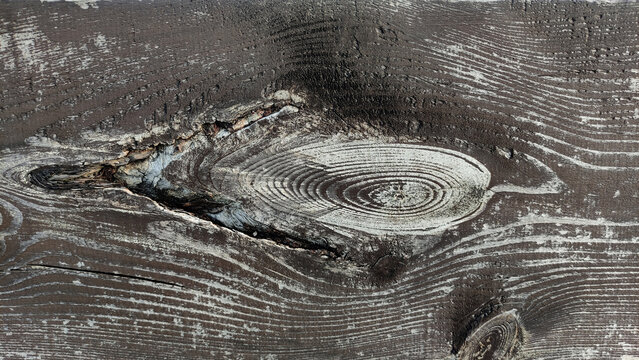 Weathered wood surface concentric growth rings fissured pattern