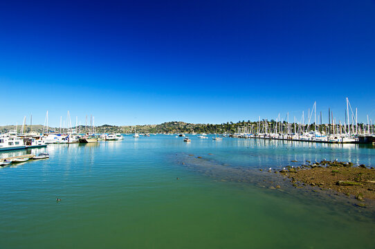 Blue sky morning view of the marina in Sausalito overlooking the Tiburon hills, Marin County, California