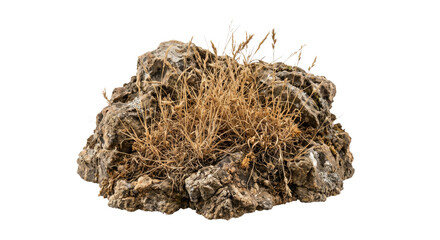 Rough textured rock with dry grass growing from its crevices © Sapphire