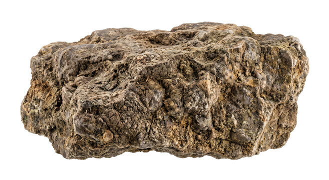Rough textured sedimentary rock specimen with varied mineral deposits and inclusions