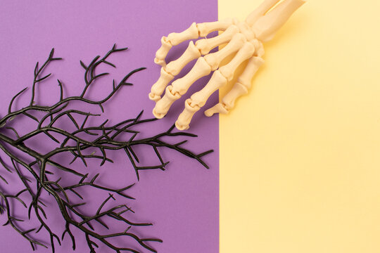 Tree branches and human skeleton hand on pastel yellow and purple background. 
