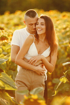 People spend time in a sunflowers field