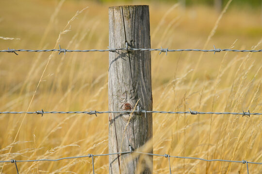 Wooden fence post with dry grass background 