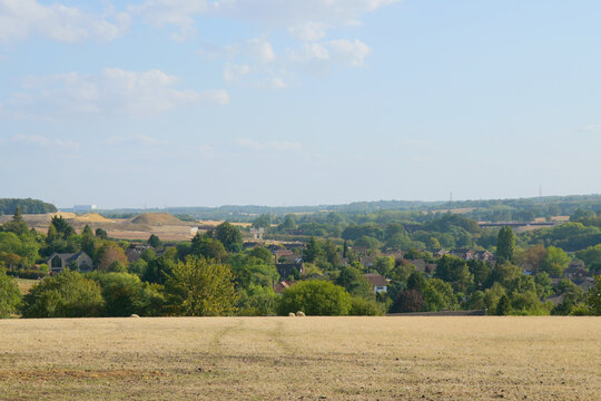 Dry grassy landscape with trees