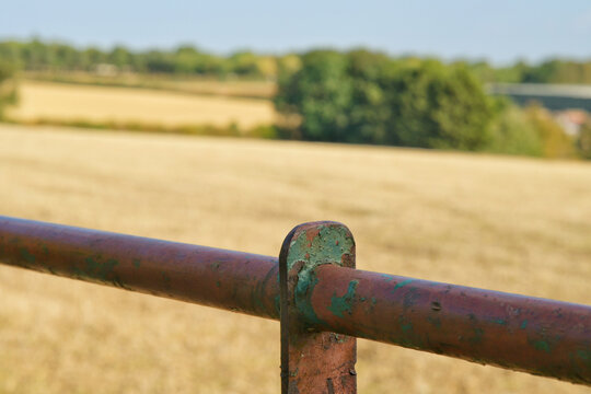 Metal gate with field of harvested crop 