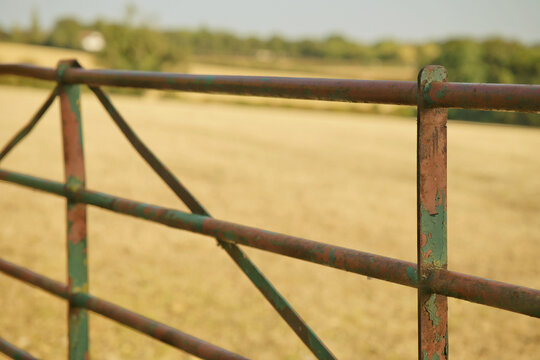 Metal gate with field of harvested crop 
