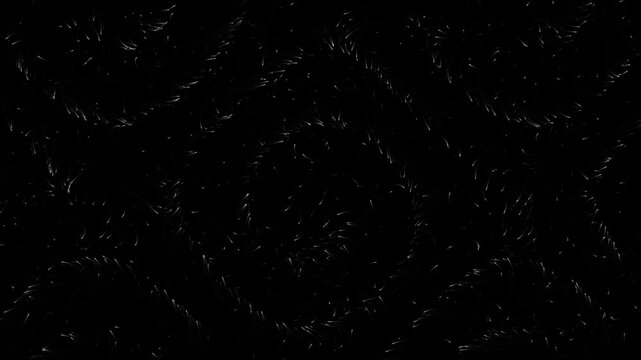 Abstract background with tiny white curved lines forming a chaotic pattern video
