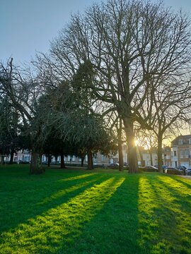 Amiens park in spring