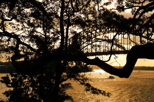 Sydney Harbour Bridge silhouette at sunset from Kirribilli