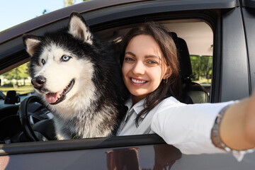 Road trip adventure with pet, happy woman and husky dog taking a selfie from car window, travel and companionship © Pixel-Shot