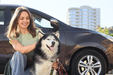 Pet ownership and animal companionship, young woman with her husky dog next to a car in an urban setting © Pixel-Shot