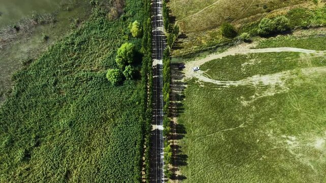 Overhead drone shot looking directly down at a narrow asphalt road lined with trees, separating a dense green wetland reed bed on one side and an open field with a parked car on the other.