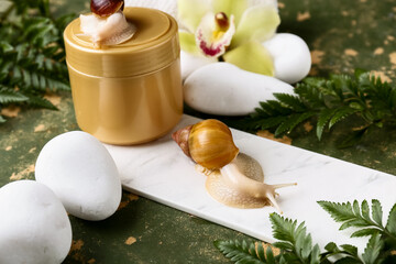 Composition with jar of cosmetic product, spa stones, Giant Achatina snails and fern leaves on color grunge background © Pixel-Shot
