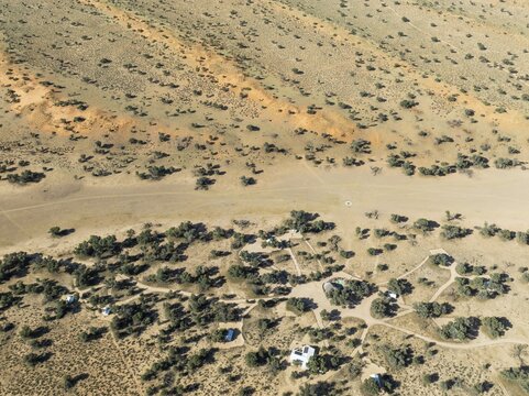 Torgos Lodge, the dry bed of the Auob River and sand dunes grown with camelthorn trees (Vachellia erioloba). During the rains with green vegetation. Aerial view. Drone shot. Kalahari Desert, Namibia