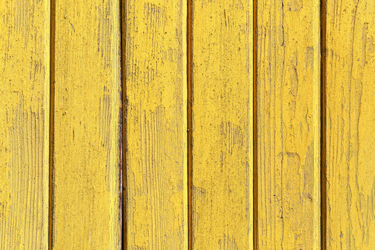 Yellow painted wooden plank texture. Weathered boards with visible grain. Rustic timber surface with scratches. Vertical wood panels in bright color. Decorative background of aged yellow boards.