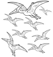 Pterodactyl flying dinosaur line art illustration set © Samiulislam