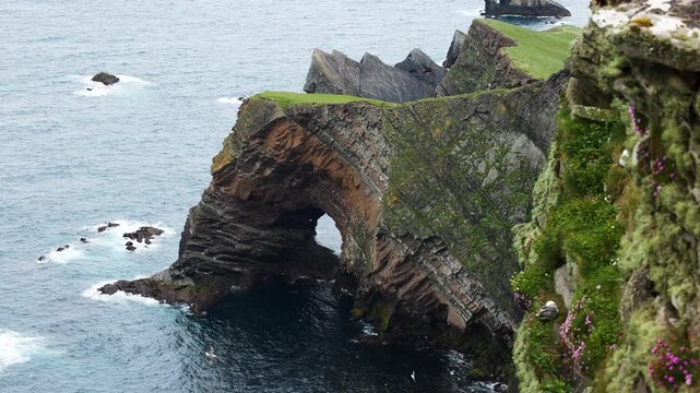 Thousands of seabirds flying around a massive sea arch below the towering cliffs of the Isle of Foula, Shetland, Scotland, United Kingdom