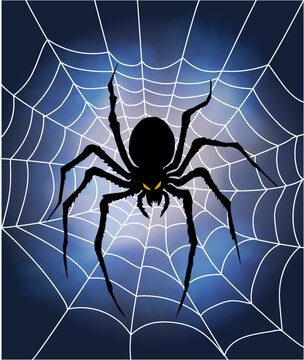 Halloween black spider silhouette on cobweb background with glowing yellow eyes vector illustration