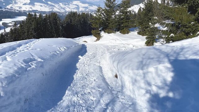 A snow-covered hiking trail winds through a winter landscape in the French Alps. The scene is peaceful and bright, with no people visible, capturing the beauty of alpine nature in winter.