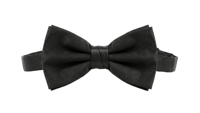 Isolated Classic Black Butterfly Bow Tie Self-Tie
