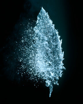 Feather Dissolving Into Icy Blue Light Particles