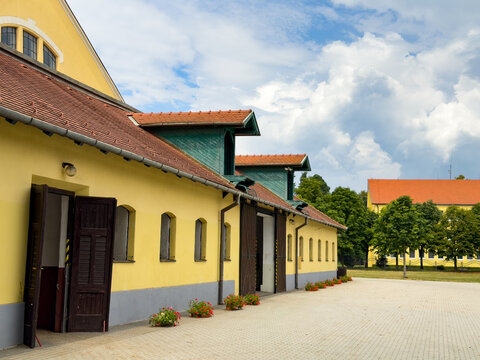 Yellow-walled building, sunny day. A yellow building stands under a clear sky with clouds. Green trees surround the area, giving a calm view.