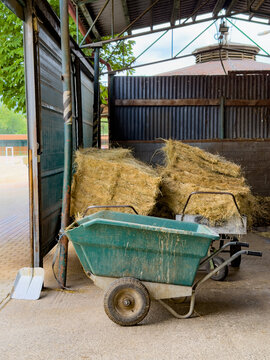 Barn area with hay and wheelbarrow. A wheelbarrow sits near stacked hay in a barn. The open door shows a view outside. It is daytime.