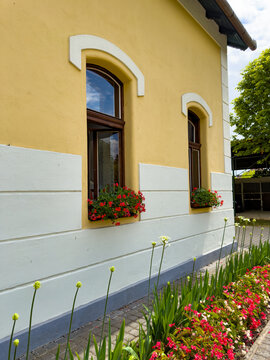 A yellow house stands with white trim. A yellow house stands with white trim. Flower boxes sit below open windows. Green plants grow in front of the house.