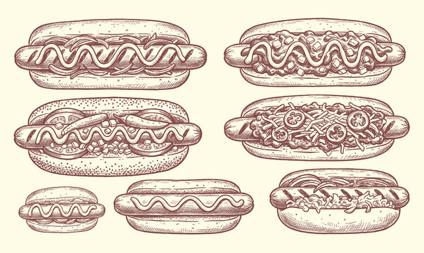 Vintage hot dog varieties banner hand drawn vector illustration