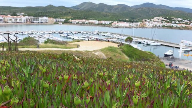 Boats are docked in the harbor in Llanca town, Spain