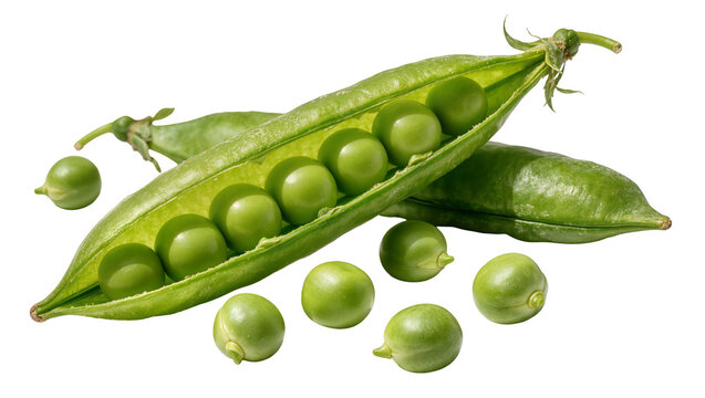 Fresh green pea pods with scattered peas, isolated on transparent background