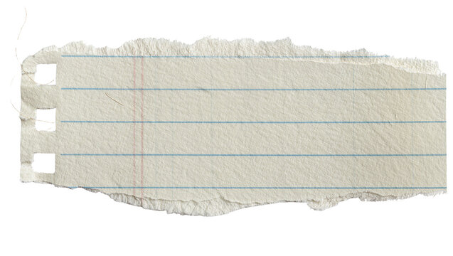 Torn lined notebook paper with three punched holes, isolated on transparent background