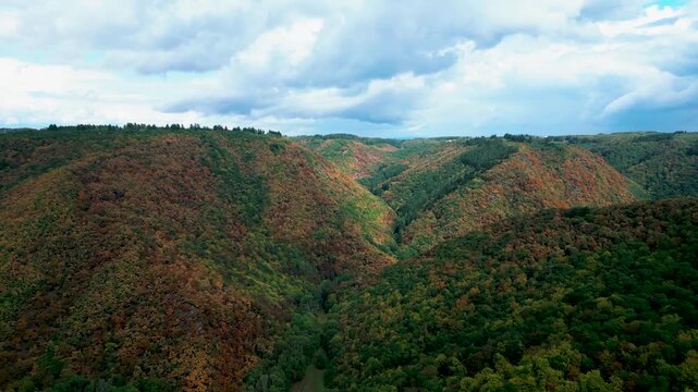 Luftaufnahme eines herbstlichen Waldes im Brochemer Tal bei Bremm, Deutschland